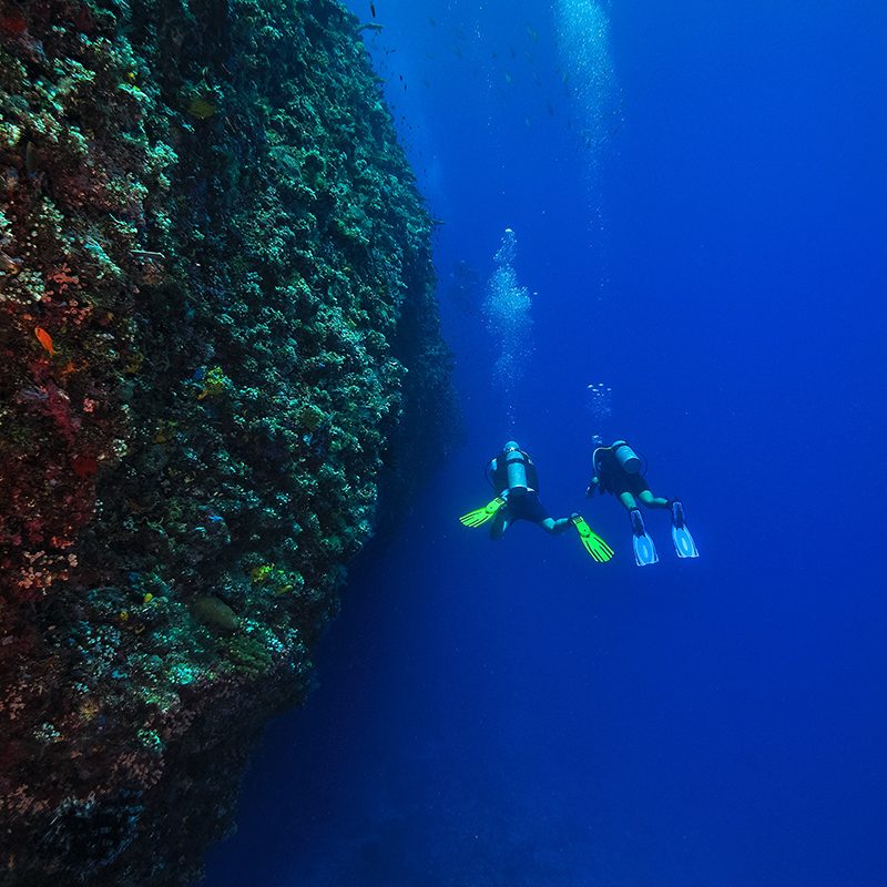 Divers descending the wall at Embudu's house reef
